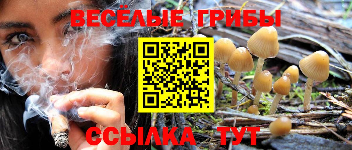 Новокуйбышевск  Галлюциногенные грибы мухоморы  Вход с VPN 