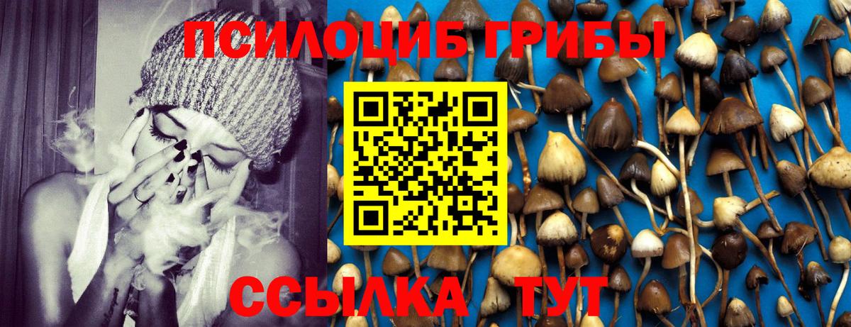 Галлюциногенные грибы прущие грибы Новокуйбышевск