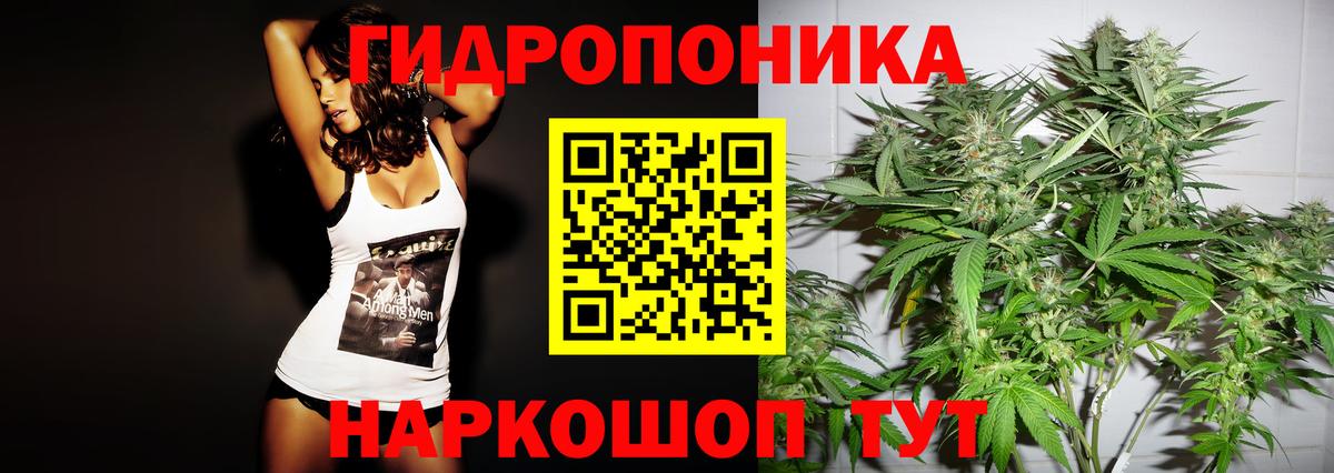 Марихуана Bruce Banner Новокуйбышевск